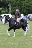 thornton-le-dale-gala showclass7acharity25-5-20178